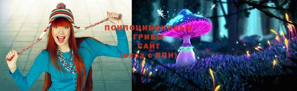 бутират Елабуга
