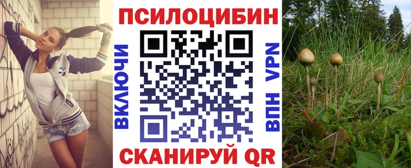 Купить где  Голицыно  Псилоцибиновые грибы MAGIC MUSHROOMS 